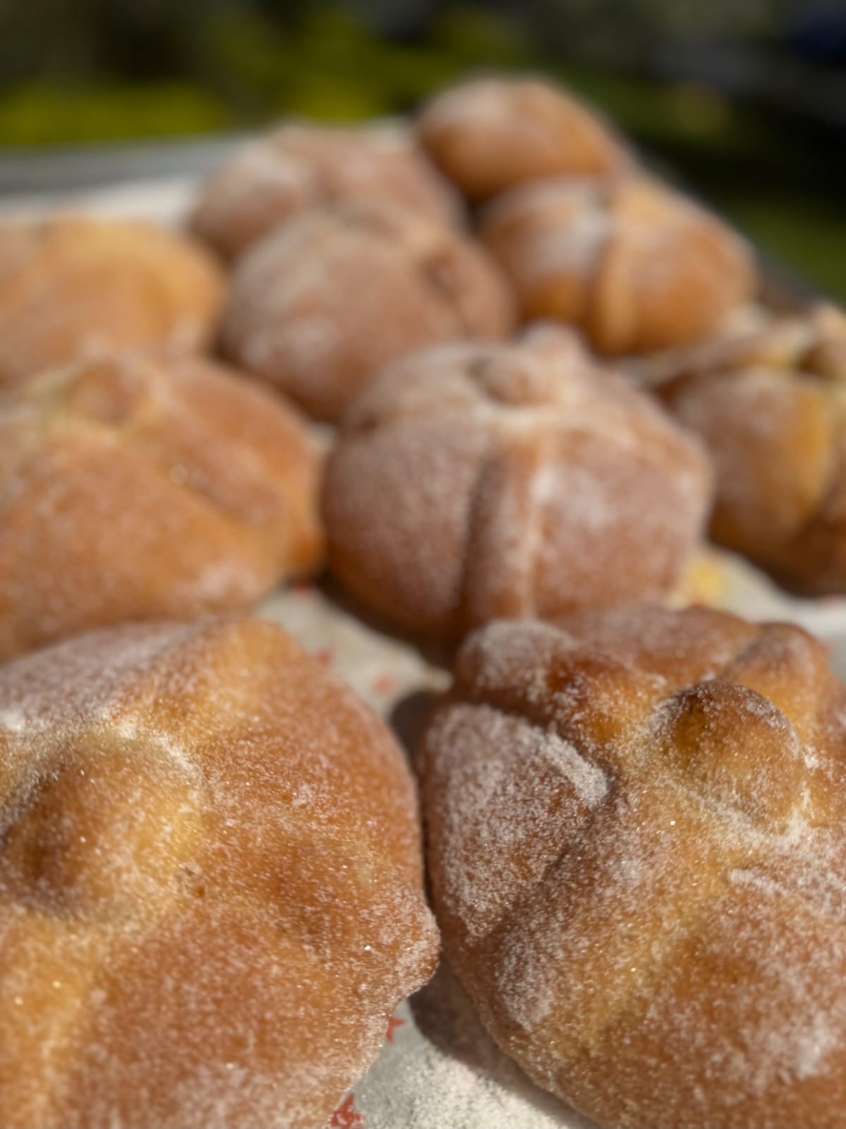 Pan de muerto Cecy Bon edición de temporada